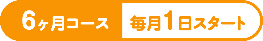 WEB Designer