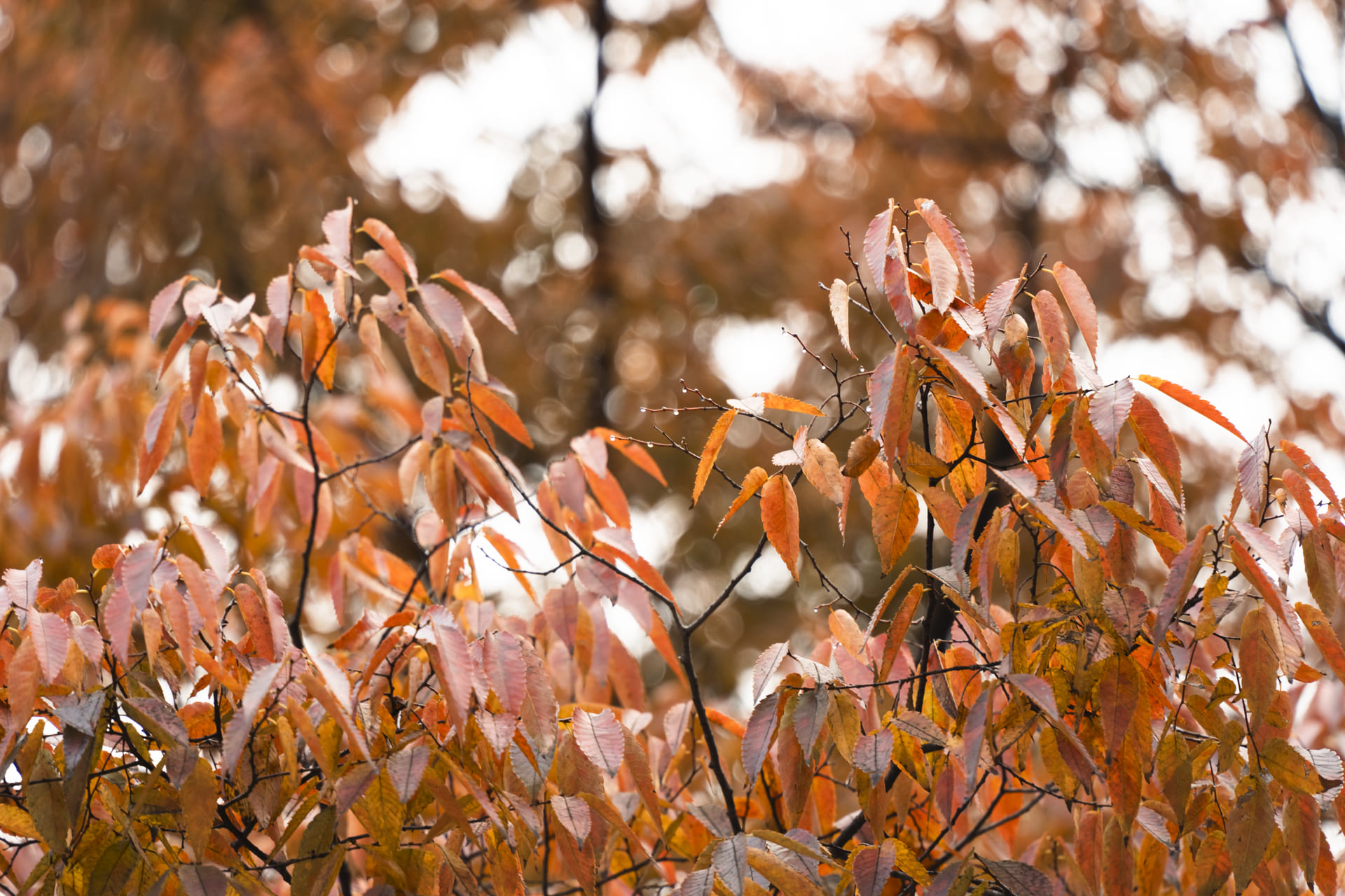 ワークショップ「カメラの基本講座」開催レポート