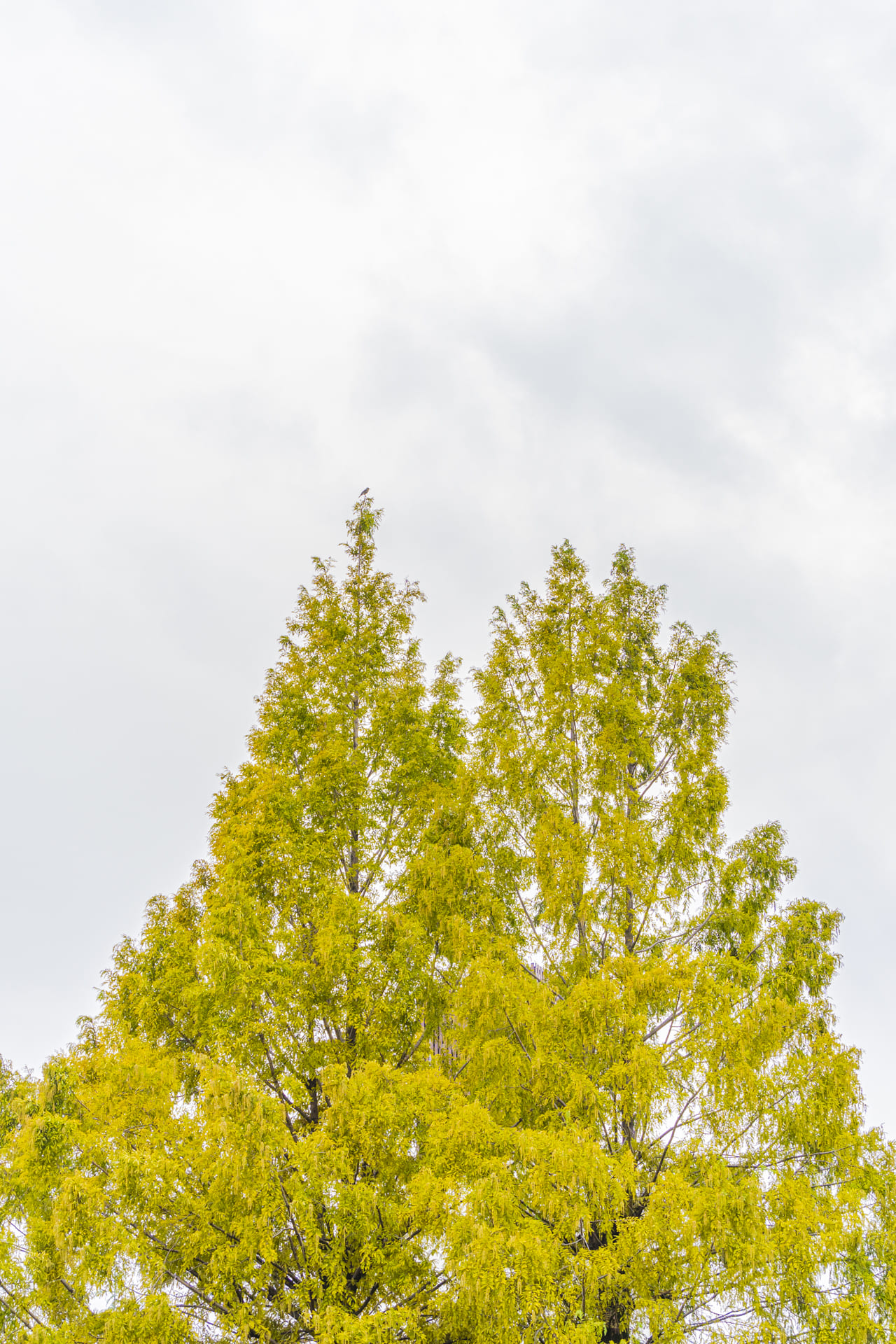 ワークショップ「カメラの基本講座」開催レポート