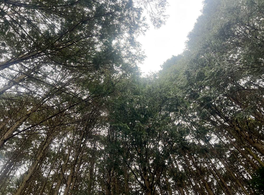 Webデザイナー専攻10月生卒業制作「合同会社 にしげ様」の現地取材を行いました！