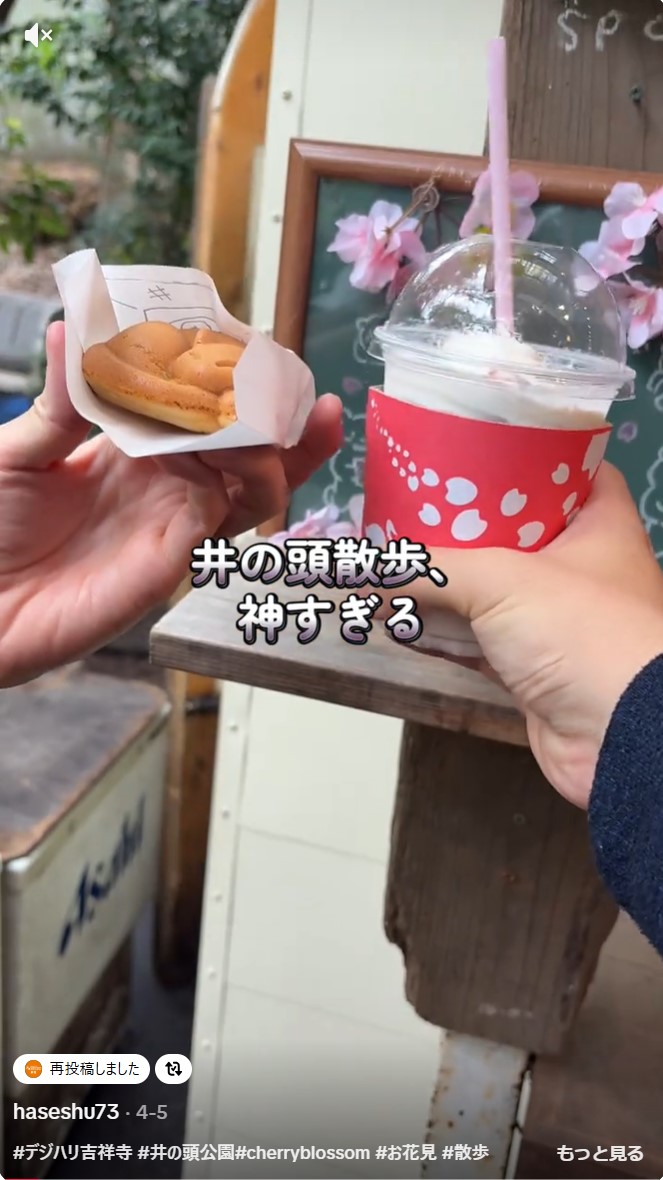 井の頭公園お花見Vlog