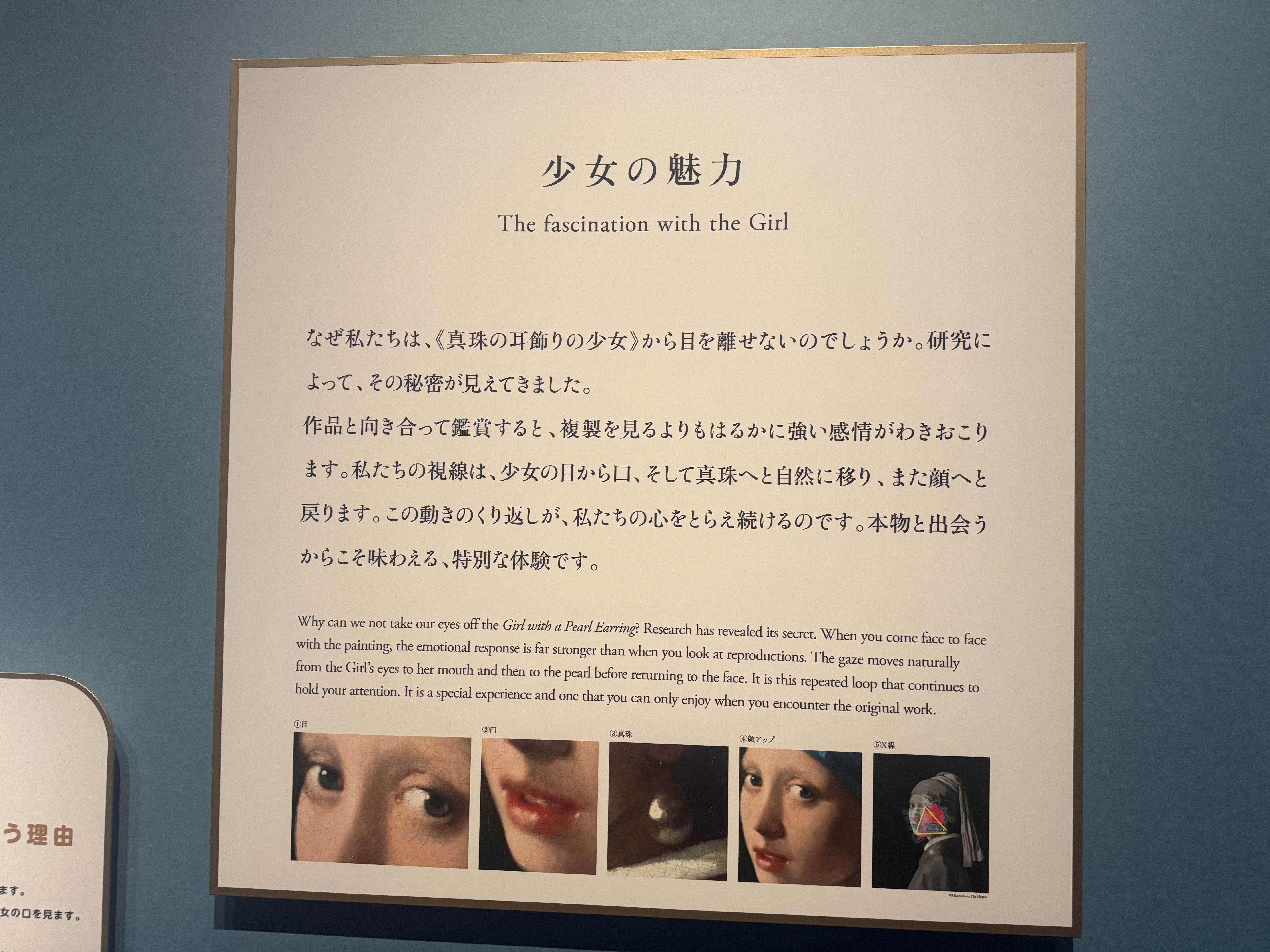 「少女の魅力」の解説パネル