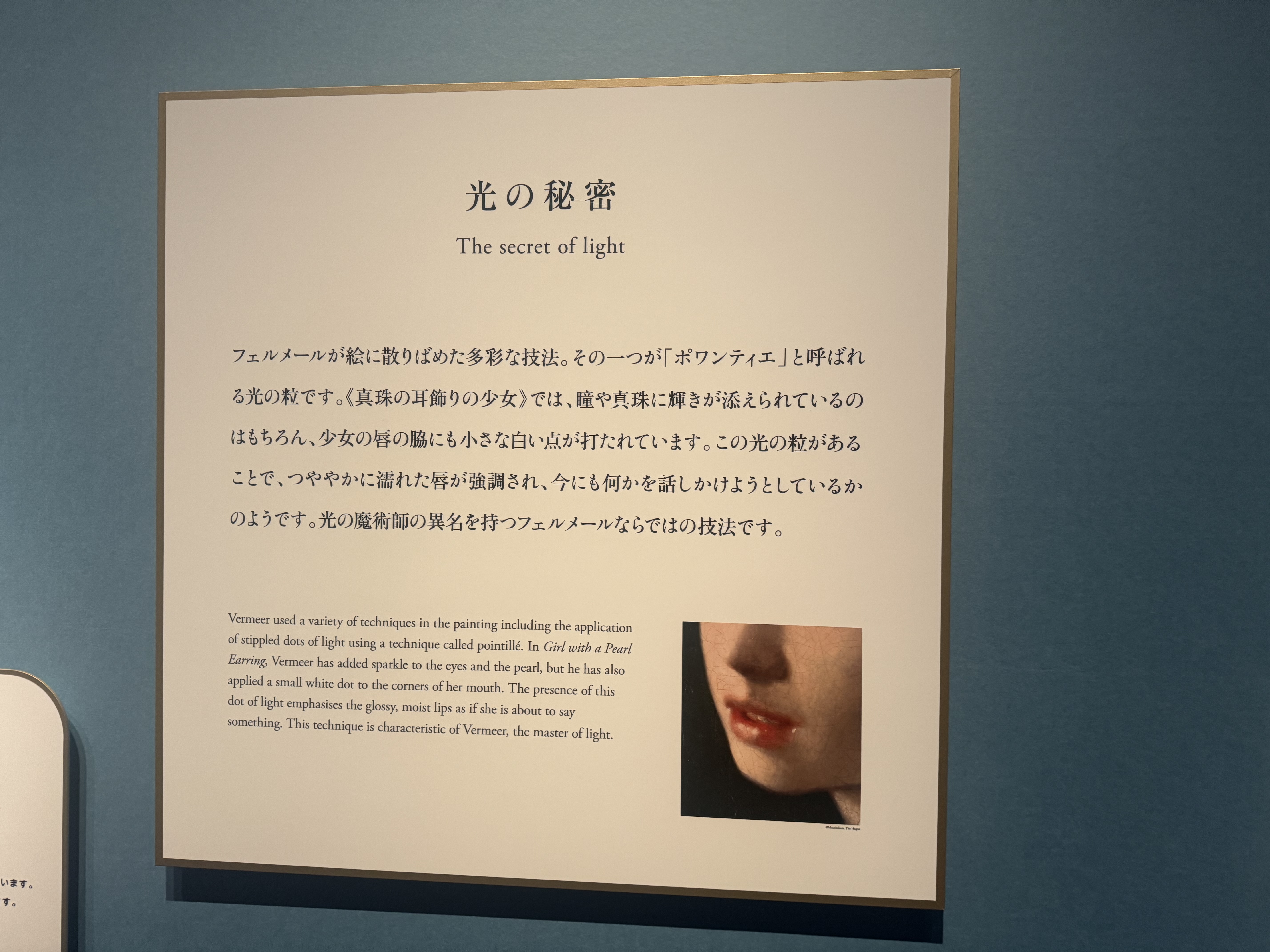 「光の秘密」の解説パネル