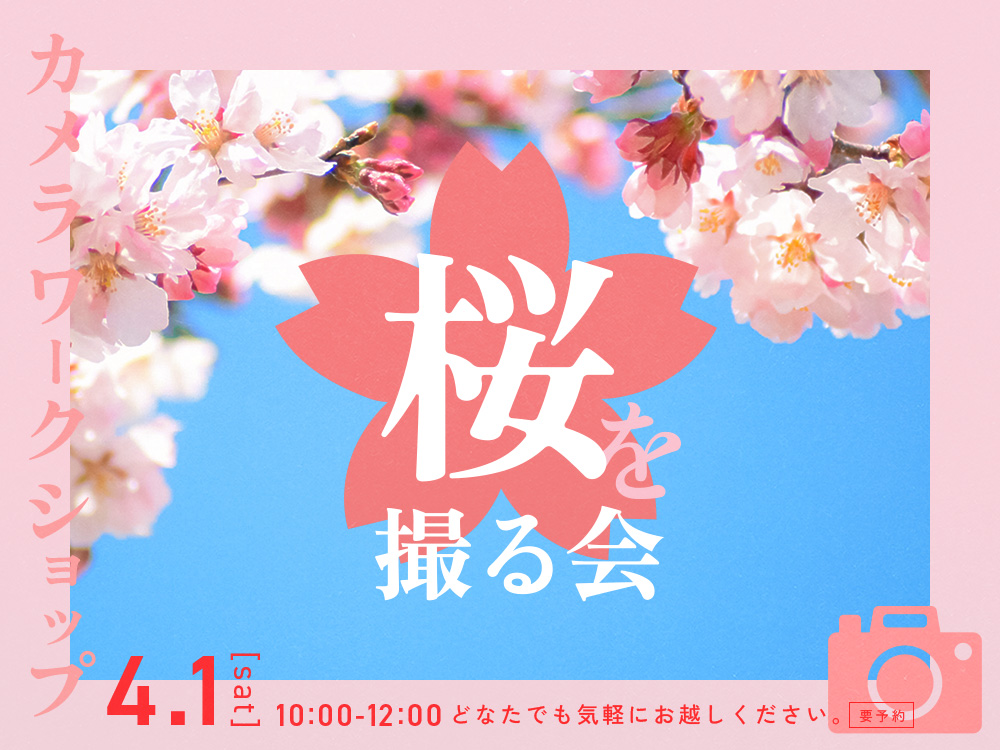 【※このイベントは終了しました】【オープンセミナー】カメラワークショップ　桜を撮る会［ロケ編］
