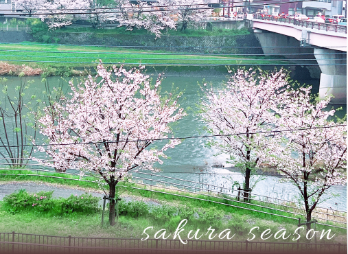 スカイテラスの春、桜の時期